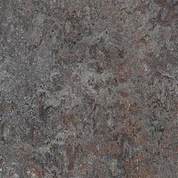 3421 Oyster Mountain Vivace